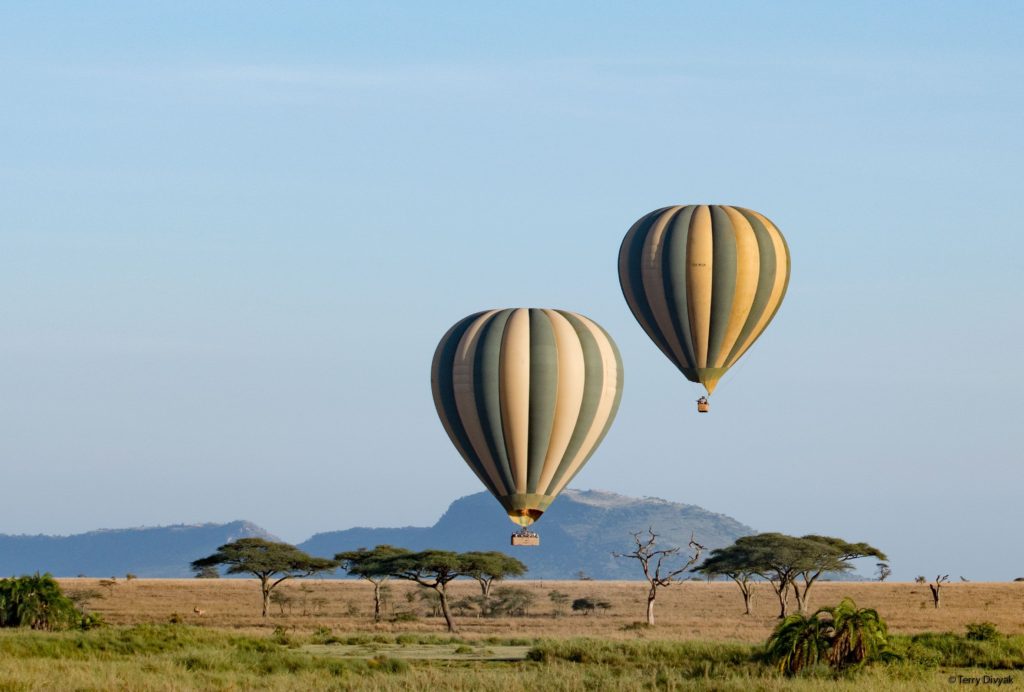BALLON-SAFARIS-1024×692