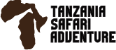 Tanzania Safari Adventure
