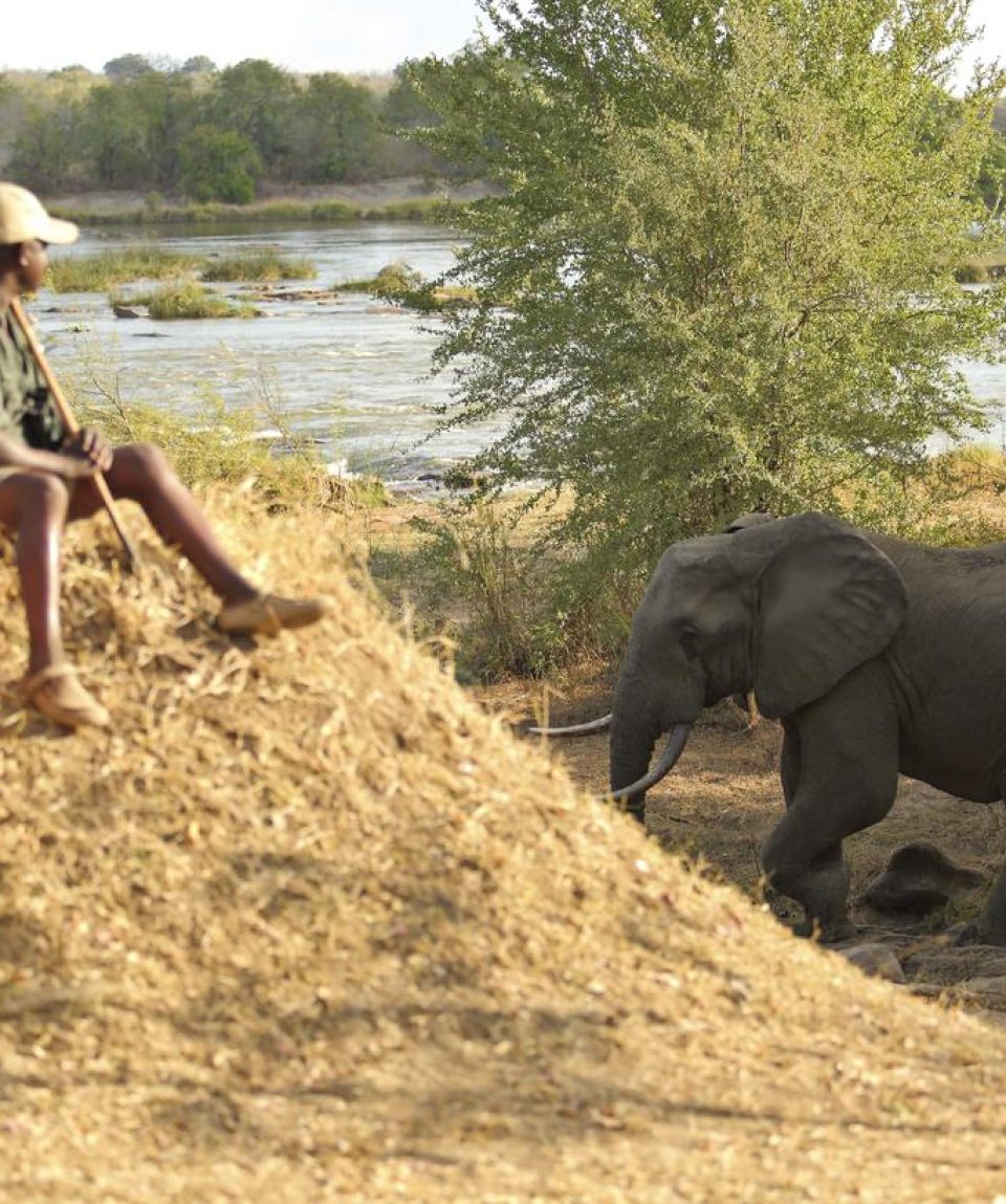 walking-safari-selous