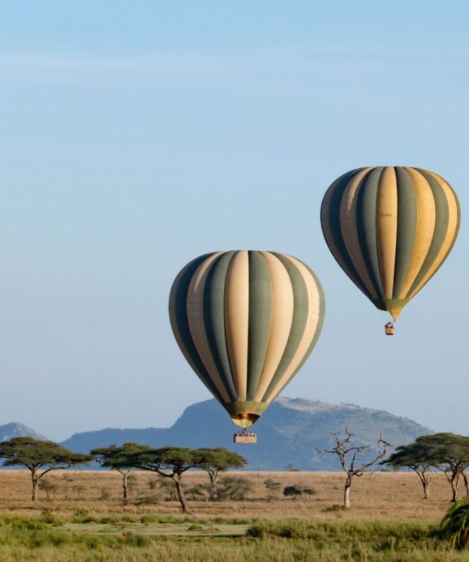 BALLON-SAFARIS-1024x692