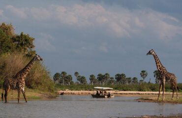 SELOUS-GAME-RESERVE (1)