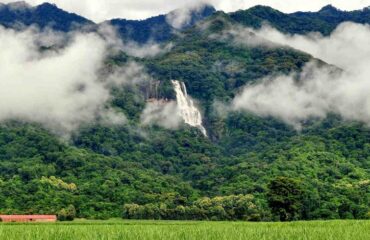 Udzungwa-Mountains-National-Park-990x490