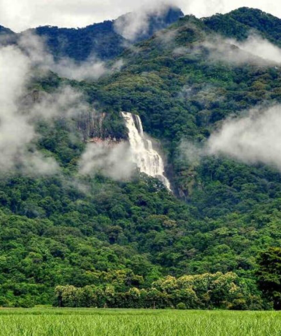 Udzungwa-Mountains-National-Park-990x490