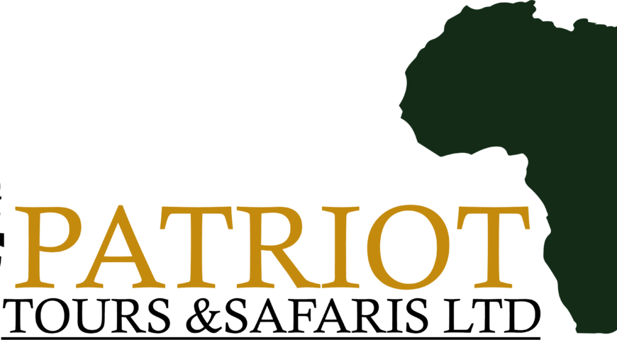 p logo