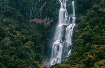 udzungwa-mountains-national-park-day-hiking-1