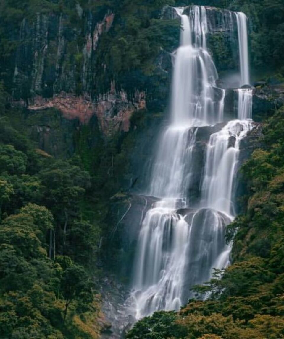 udzungwa-mountains-national-park-day-hiking-1
