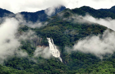 udzungwa-mountains-park